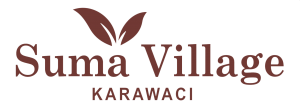 Logo-Summa-Village
